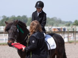 2016 SydhavsCup spring finale 22. maj